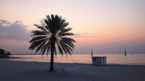 Top Reasons to Choose Local Mental Health Services in Dubai